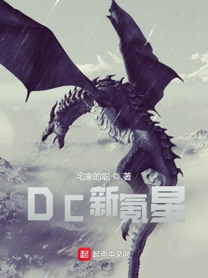 dc新氪星小说